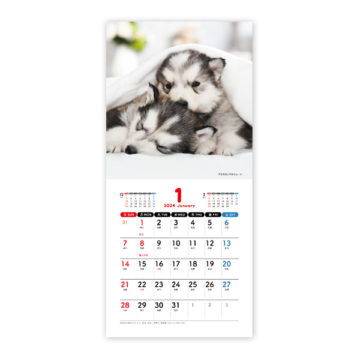 Pretty Dogs(ﾌﾟﾘﾃｨﾄﾞｯｸﾞｽ)[中綴じ]｜2024年卓上カレンダー名入れ激安作成！東京で35年・安心信頼のカレンダー印刷「佑和」の画像